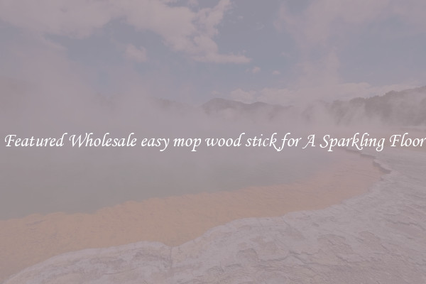 Featured Wholesale easy mop wood stick for A Sparkling Floor
