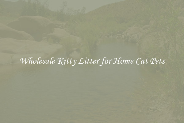 Wholesale Kitty Litter for Home Cat Pets