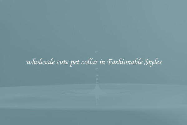 wholesale cute pet collar in Fashionable Styles