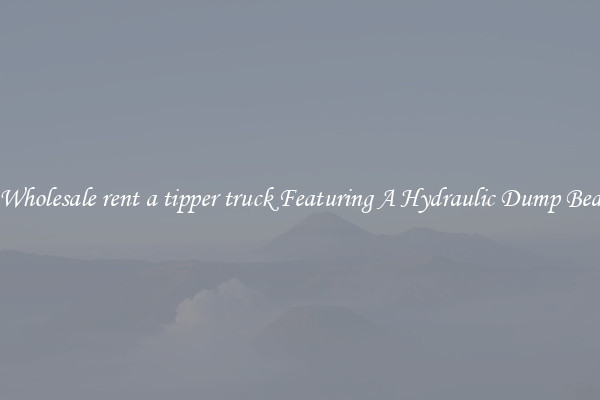 Wholesale rent a tipper truck Featuring A Hydraulic Dump Bed
