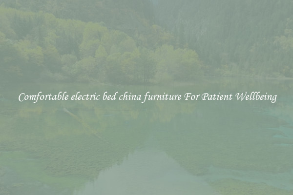 Comfortable electric bed china furniture For Patient Wellbeing