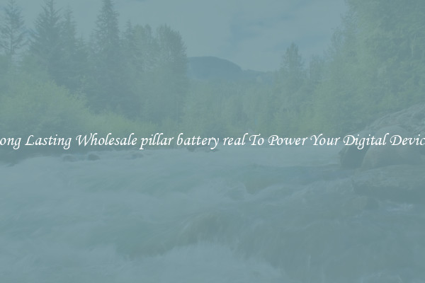 Long Lasting Wholesale pillar battery real To Power Your Digital Devices