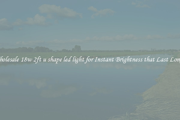 Wholesale 18w 2ft u shape led light for Instant Brightness that Last Longer