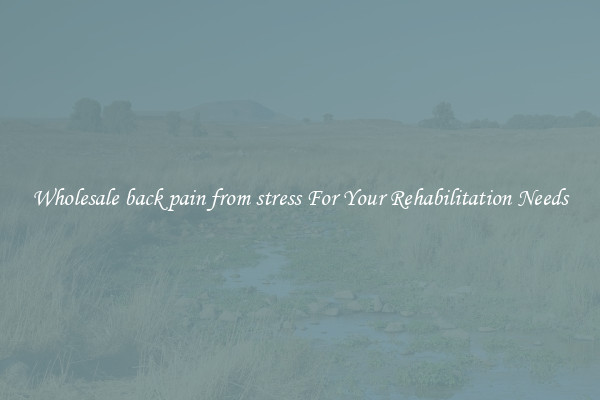 Wholesale back pain from stress For Your Rehabilitation Needs