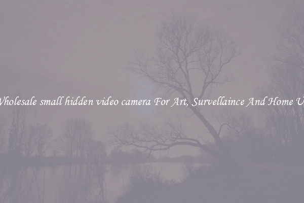 Wholesale small hidden video camera For Art, Survellaince And Home Use