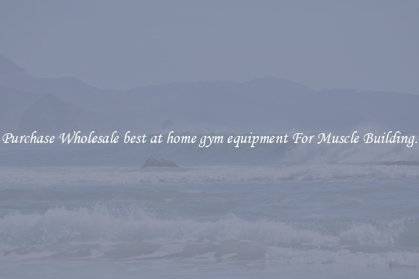 Purchase Wholesale best at home gym equipment For Muscle Building.