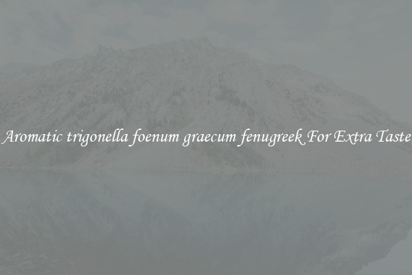 Aromatic trigonella foenum graecum fenugreek For Extra Taste
