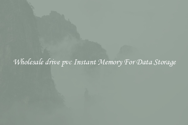 Wholesale drive pvc Instant Memory For Data Storage