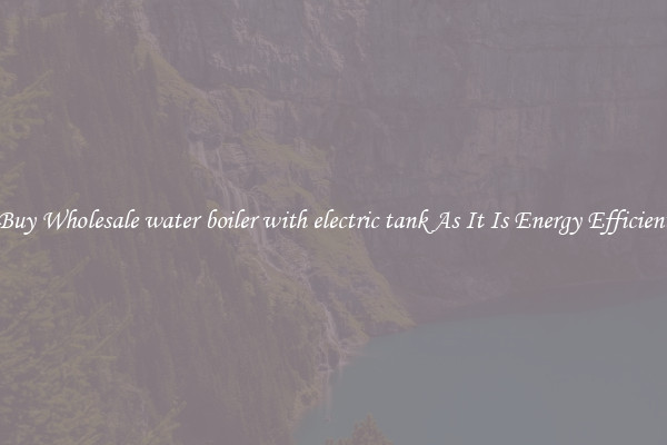 Buy Wholesale water boiler with electric tank As It Is Energy Efficient