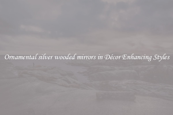 Ornamental silver wooded mirrors in Décor Enhancing Styles