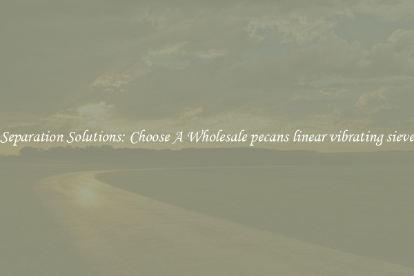 Separation Solutions: Choose A Wholesale pecans linear vibrating sieve
