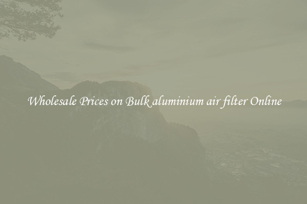 Wholesale Prices on Bulk aluminium air filter Online