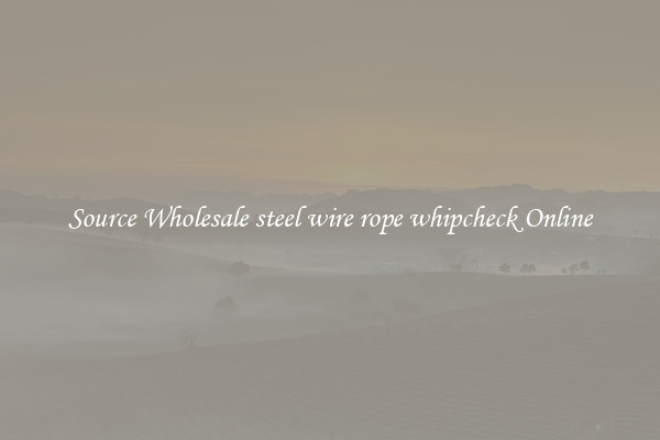 Source Wholesale steel wire rope whipcheck Online