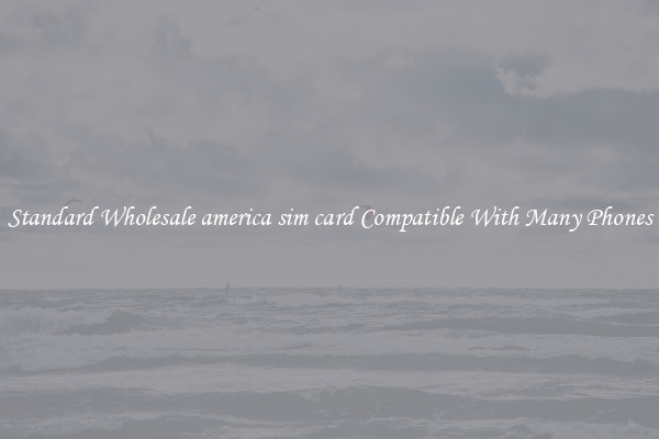 Standard Wholesale america sim card Compatible With Many Phones