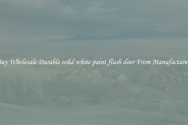 Buy Wholesale Durable solid white paint flush door From Manufacturers