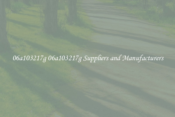 06a103217g 06a103217g Suppliers and Manufacturers