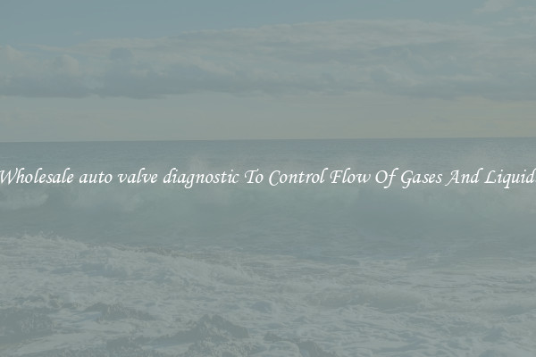 Wholesale auto valve diagnostic To Control Flow Of Gases And Liquids