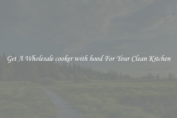 Get A Wholesale cooker with hood For Your Clean Kitchen