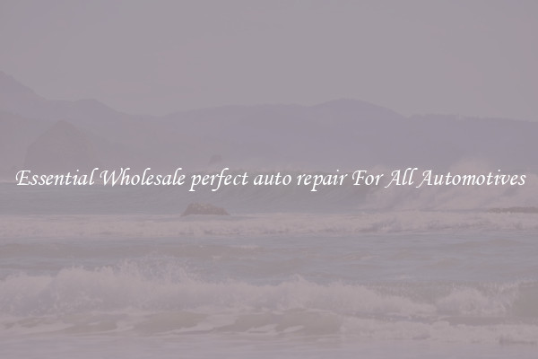Essential Wholesale perfect auto repair For All Automotives