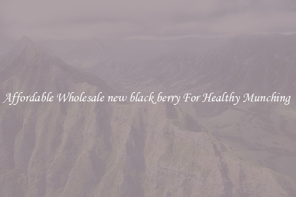 Affordable Wholesale new black berry For Healthy Munching 