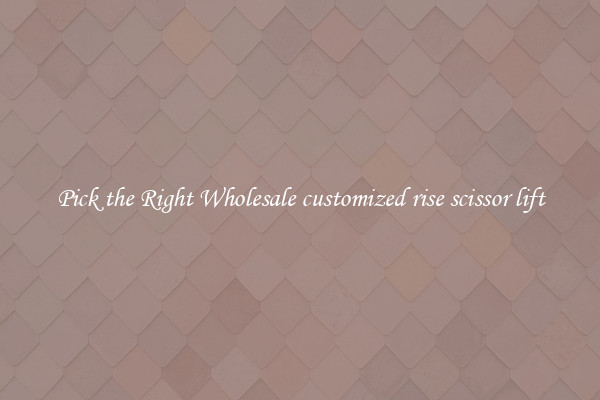 Pick the Right Wholesale customized rise scissor lift
