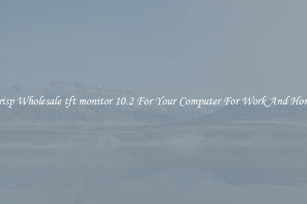 Crisp Wholesale tft monitor 10.2 For Your Computer For Work And Home