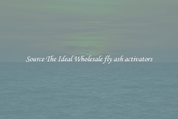 Source The Ideal Wholesale fly ash activators