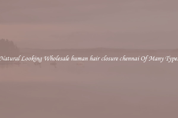 Natural Looking Wholesale human hair closure chennai Of Many Types